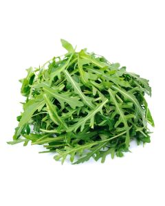 Wild Rocket