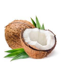 Coconut Thailand