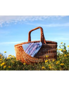Hiking Picnic