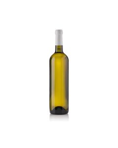 Chardonnay